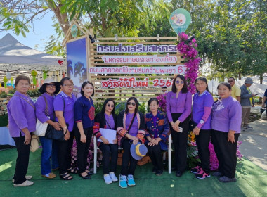 โครงการศึกษาดูงาน ... พารามิเตอร์รูปภาพ 7